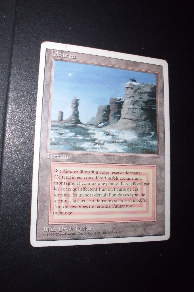 foreign WB dual land PLATEAU French 1994 - MTG, Hobby en Vrije tijd, Ophalen of Verzenden
