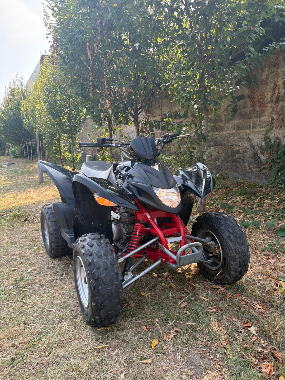 Quad aeon goes 220cc Homolgue route papier cle