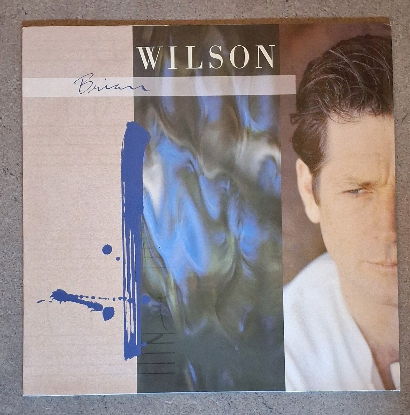 Brian Wilson: Brian Wilson (LP), Ophalen of Verzenden, LP