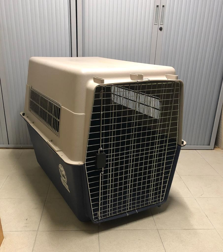 (Reis)kennel hond, Dieren en Toebehoren, Hondenhokken, Ophalen, Gebruikt, 75 tot 110 cm, 65 tot 100 cm