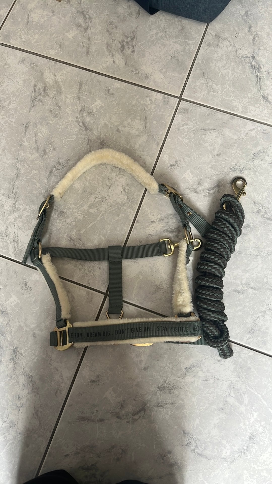 Halster + touw pony, Ophalen, Zo goed als nieuw
