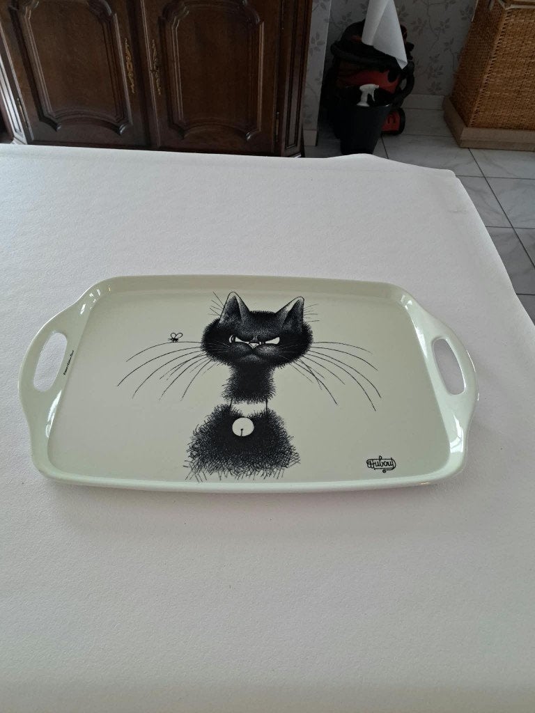 Dienblad poes, Ophalen, Zo goed als nieuw, Dienblad, Met handvatten