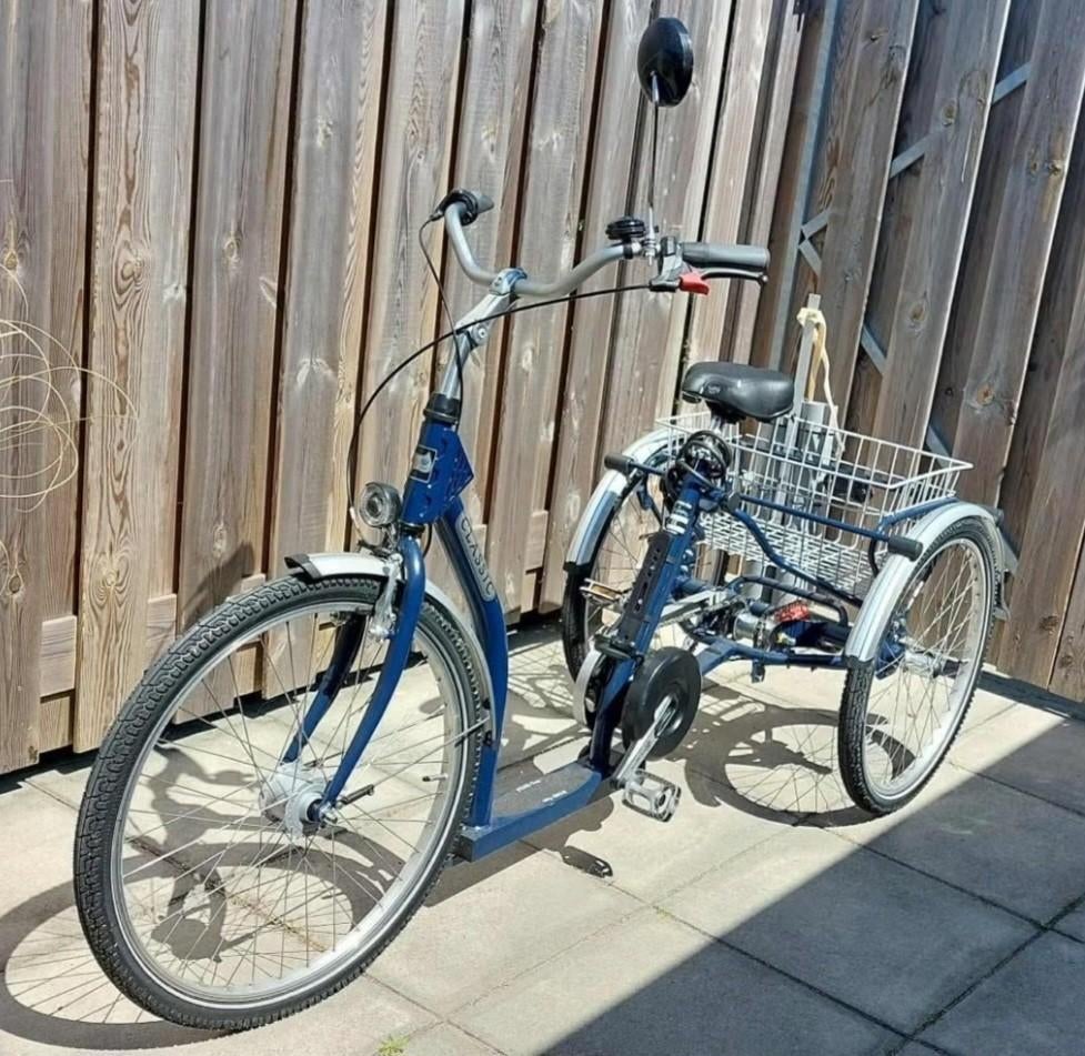 Elekteiche driewieler, Fietsen en Brommers, Fietsen | Driewielfietsen, Ophalen