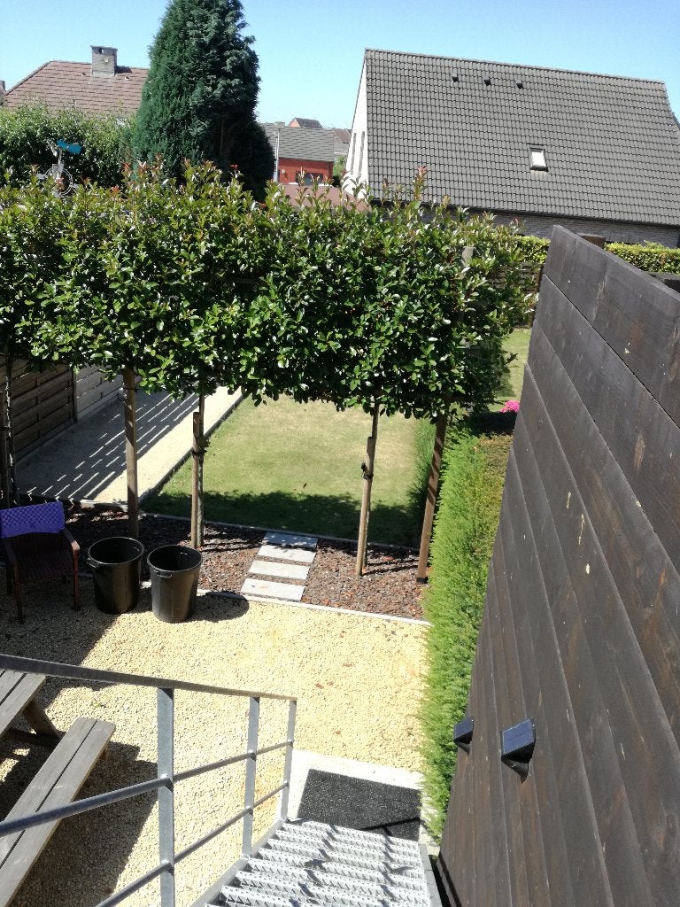 Maison rénovée à vendre avec EPC B, Maison 2 façades, 154 m², Province du Brabant flamand, 4 pièces