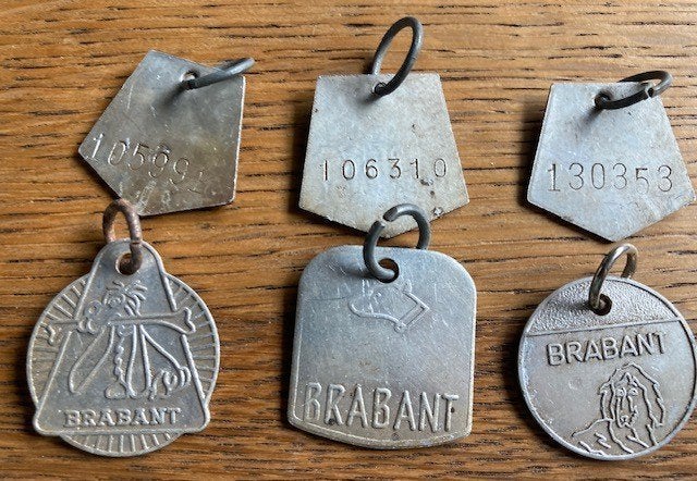 Médaille pour chien-Plaque fiscales-Brabant-lot de 10, Envoi, Autres matériaux