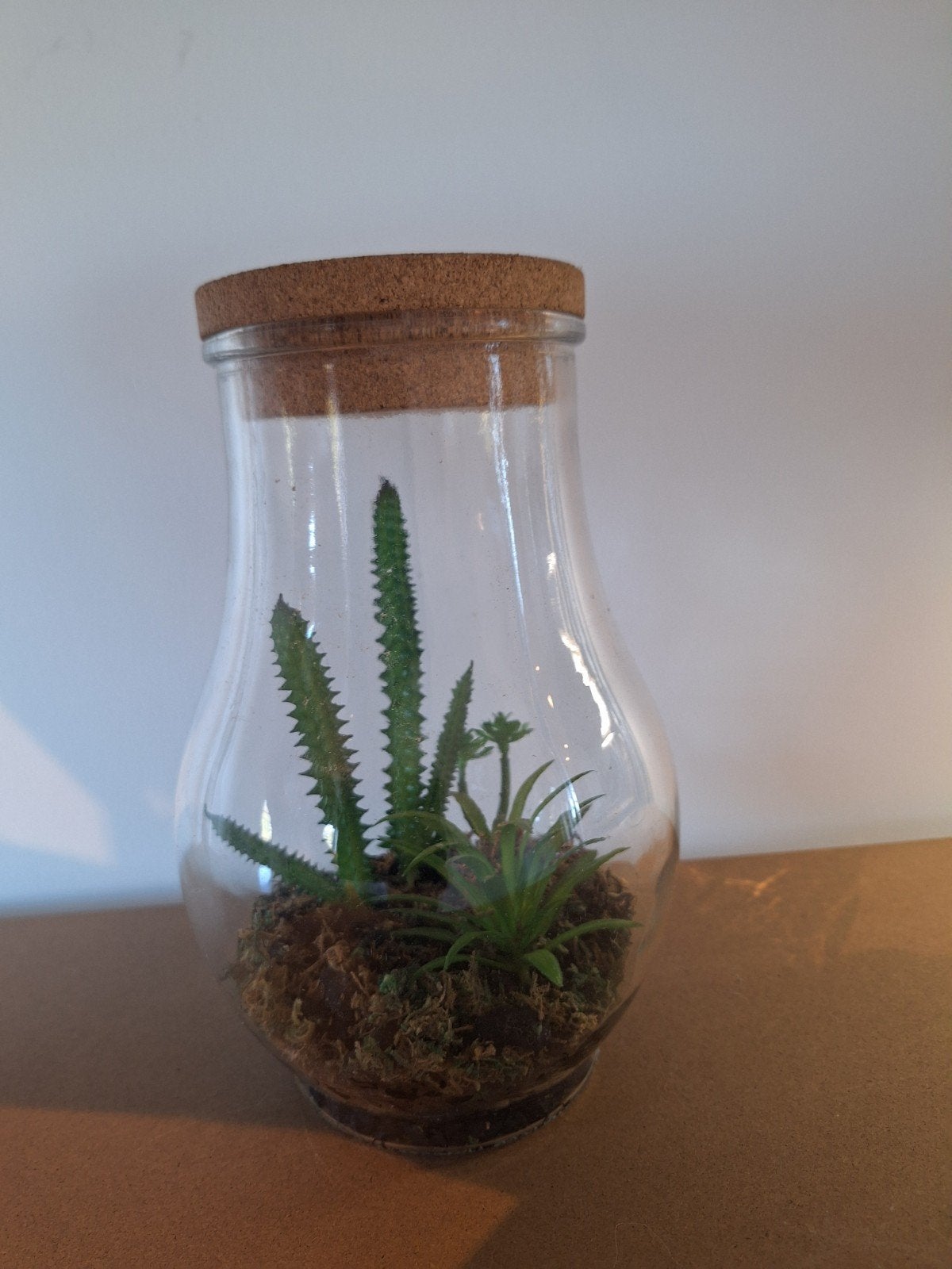 Planten terrarium met kurken deksel., Ophalen of Verzenden, Minder dan 100 cm