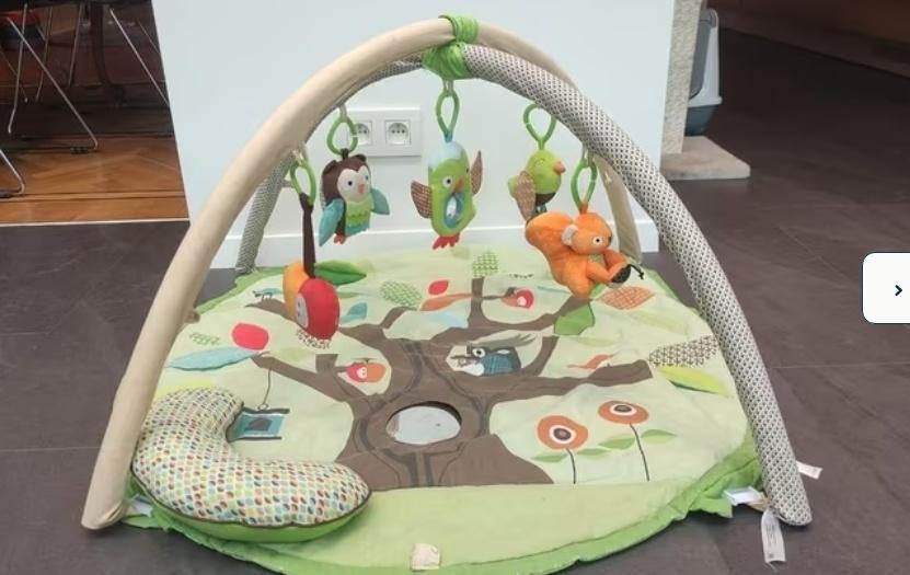 speelboog / activity gym skip hop, Kinderen en Baby's, Ophalen, Gebruikt