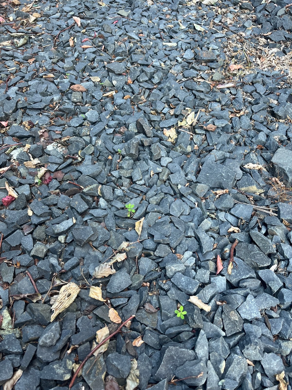Basaltsplit 40m2, Tuin en Terras, Grind, Keien en Split, Ophalen, Zo goed als nieuw
