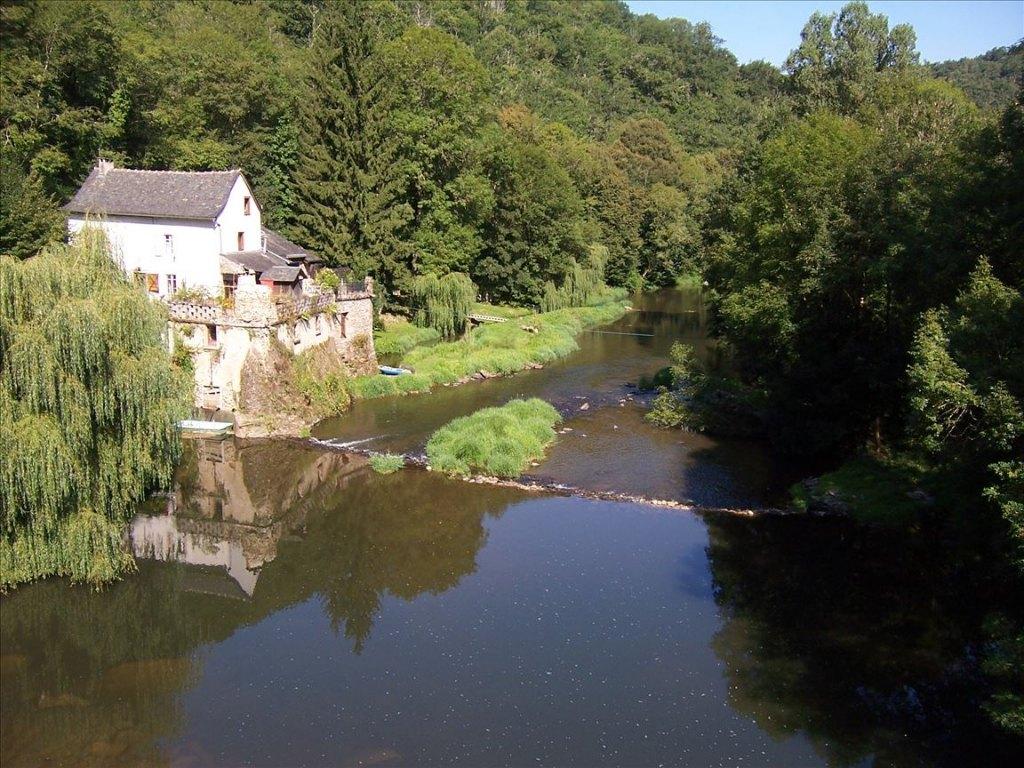 Watermolen 15é eeuw in Frankrijk, Immo, Overige soorten, Frankrijk, 3 kamers, Frankrijk