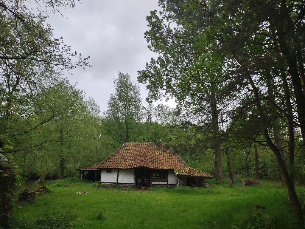 Vakantieverblijf met grote vijver