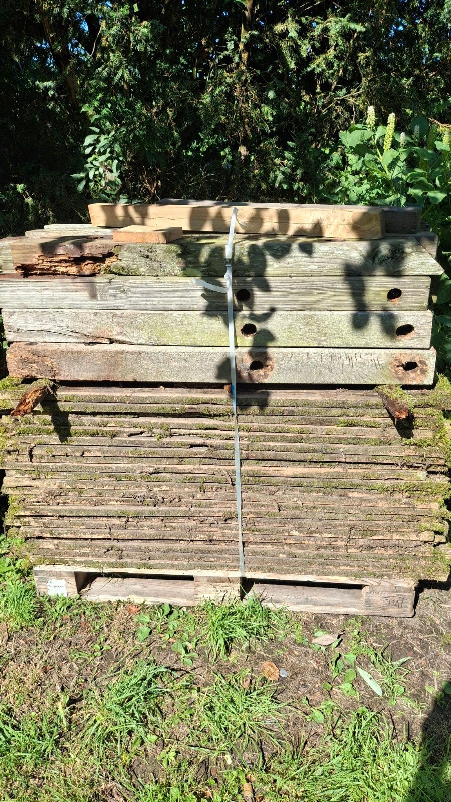 BRANDHOUT thermowood 25x145x1300 ~1m3/25€, Ophalen