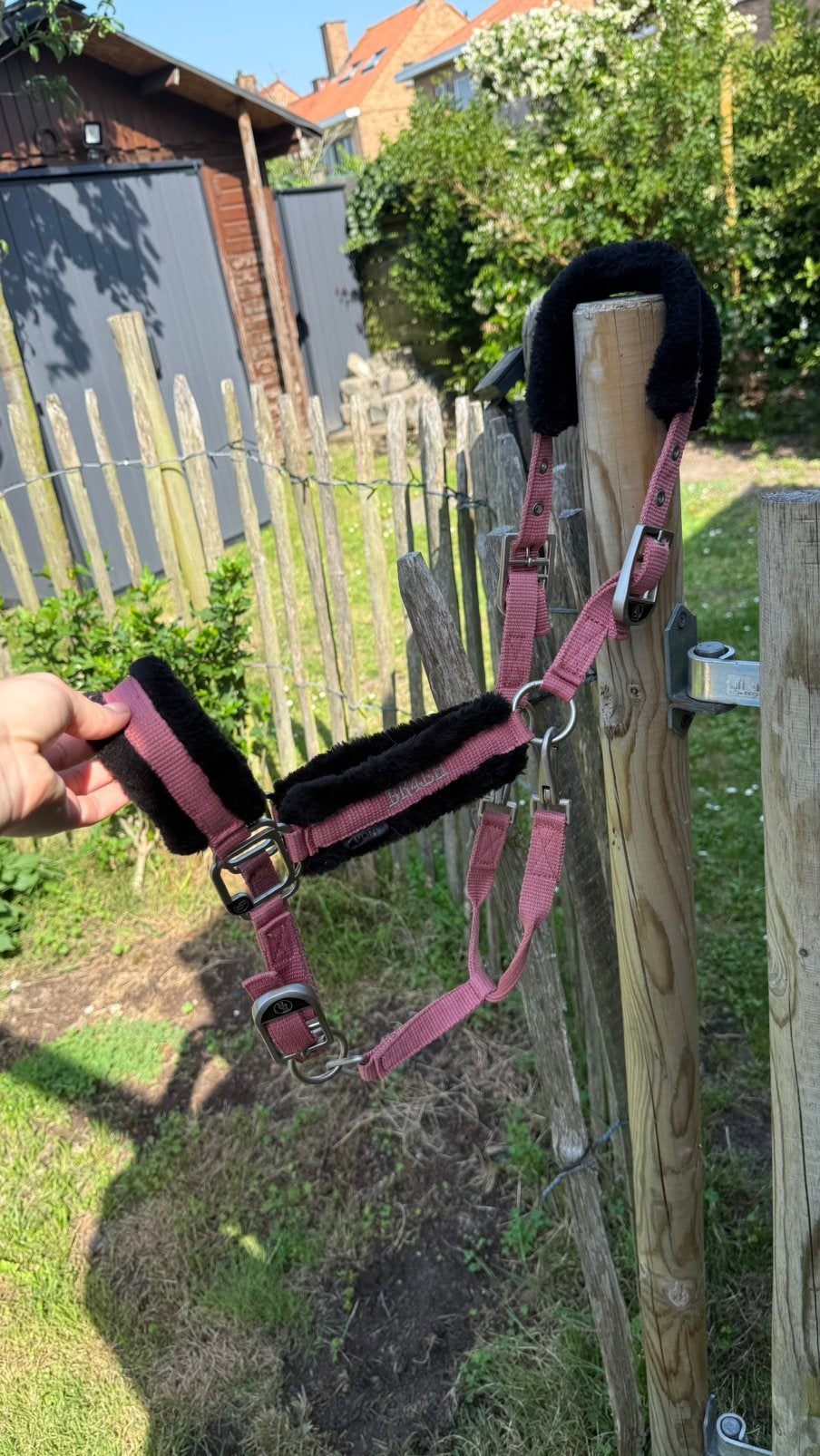 BR halster bont maat pony, Dieren en Toebehoren, Zo goed als nieuw, Halster, BR, Ophalen of Verzenden