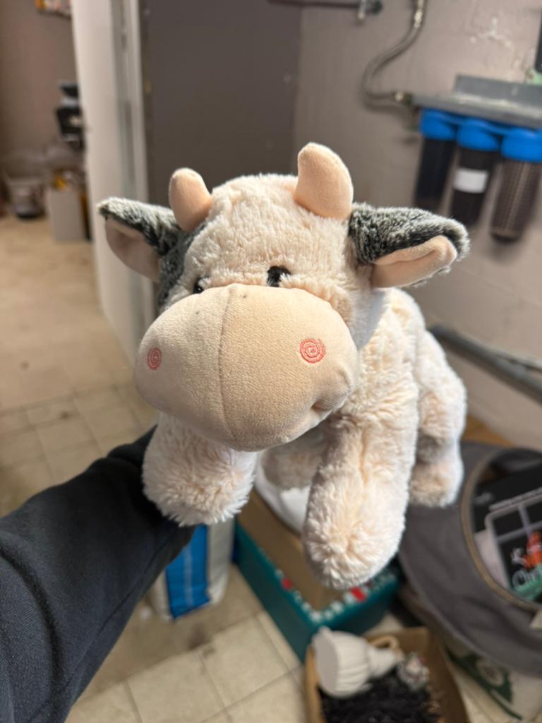 Knuffel - koe, Ophalen, Zo goed als nieuw, Koe