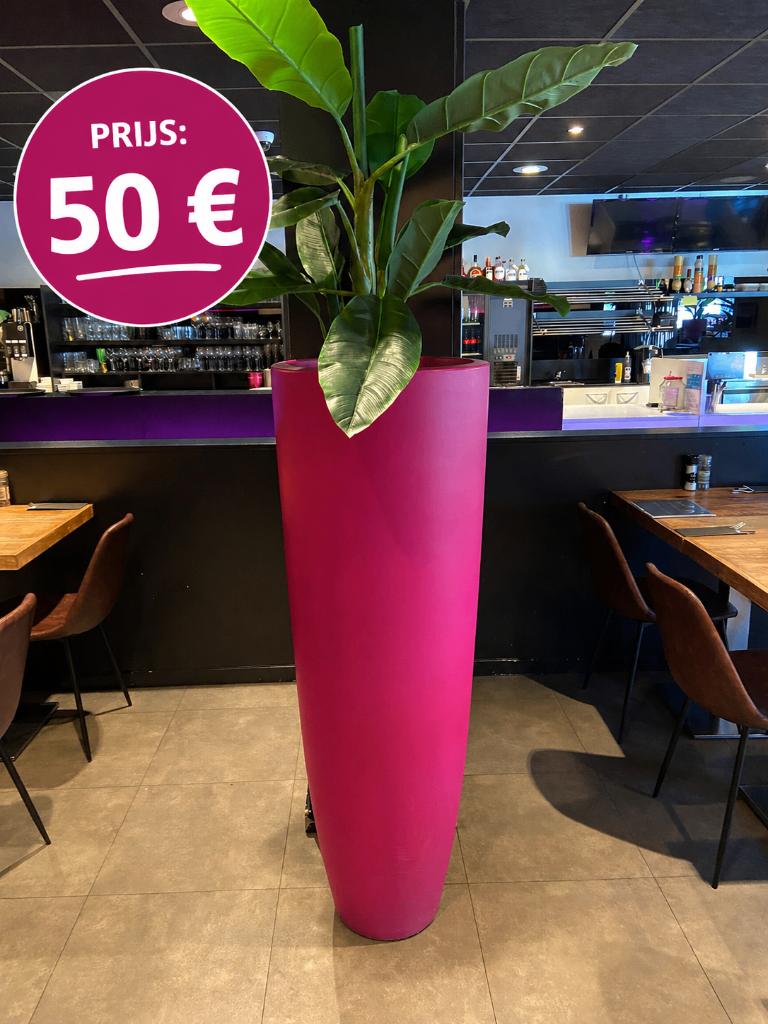 Bloempot, Tuin en Terras, Bloempotten, Gebruikt, Binnen, Overige vormen, 70 cm of meer