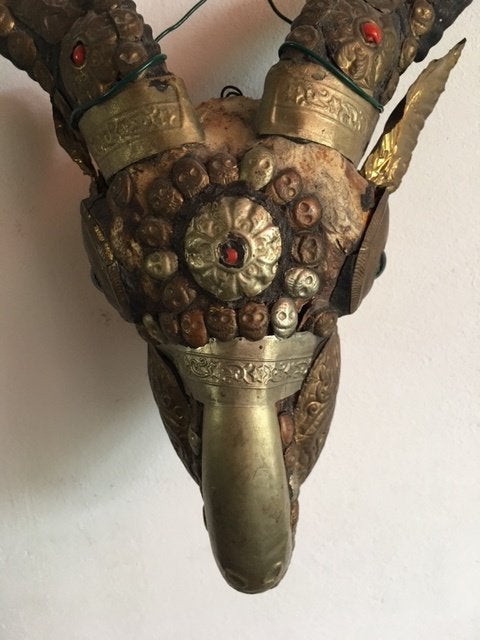 Oude Tibetaanse Kapala geitenritueelschedel., Antiek en Kunst, Ophalen