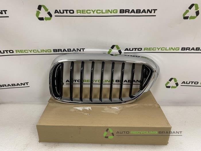 Calandre d'un BMW 5-Serie, Autos : Pièces & Accessoires, -, 3 mois de garantie, Utilisé, -