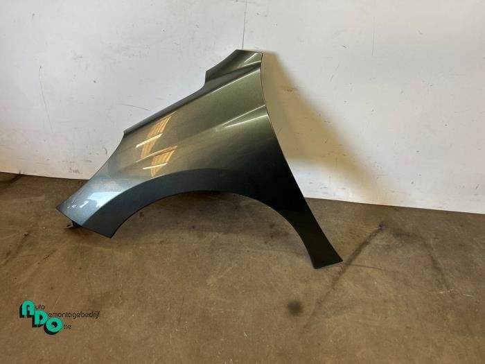 Scherm links-voor van een Peugeot 207 (207 06-), Gebruikt, -, -, Ophalen of Verzenden