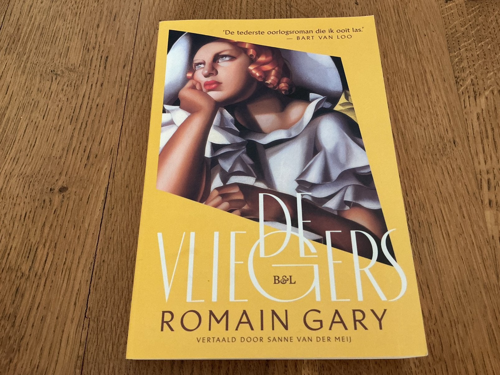 Romain Gary - De vliegers - verzenden mogelijk, Livres, Littérature, Utilisé, Enlèvement