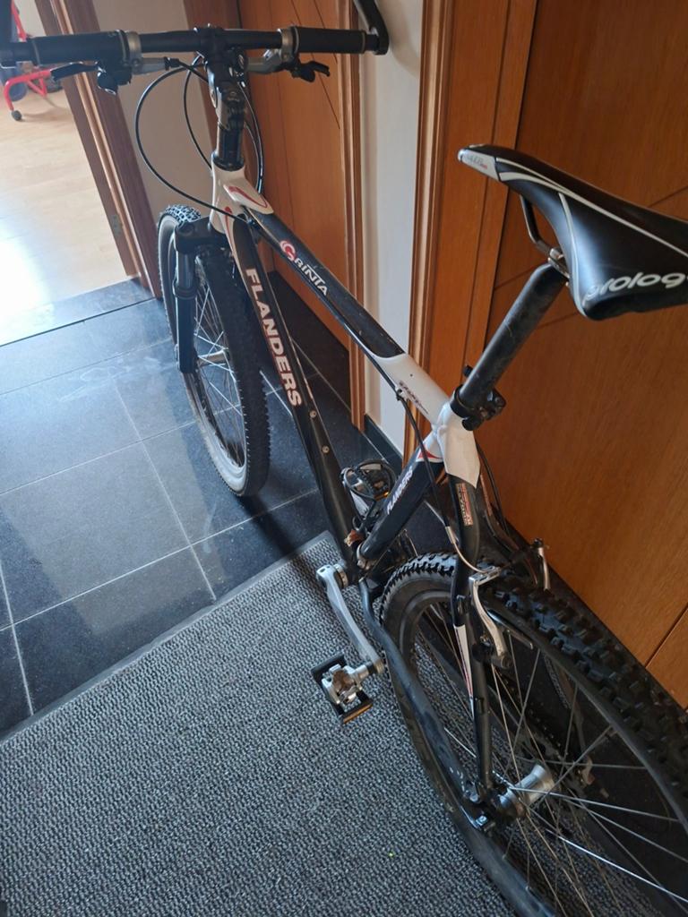 Mountainbike, Fietsen en Brommers, Ophalen