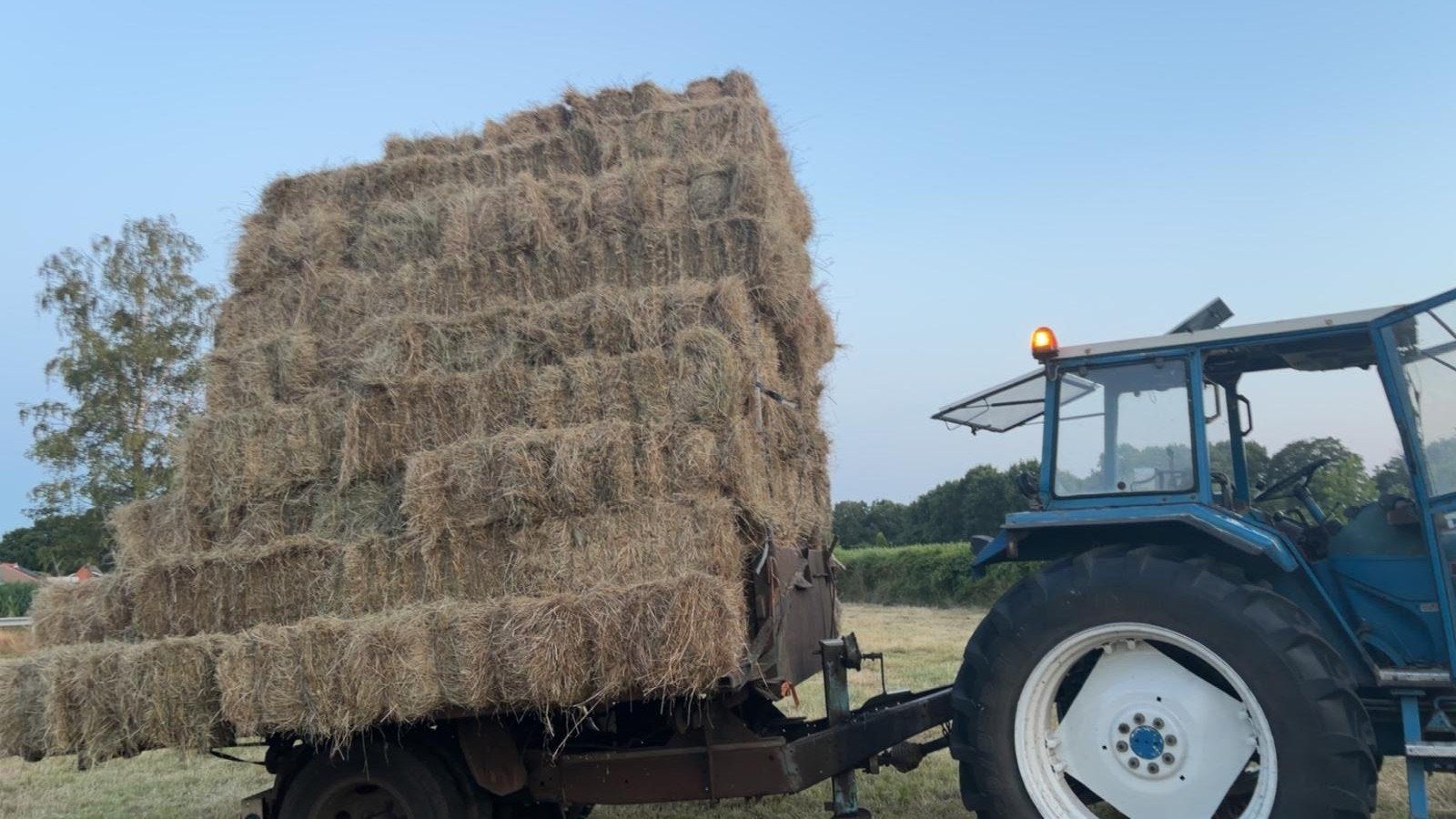kleine pakken droog hooi 1ste snede, Ophalen, Vee