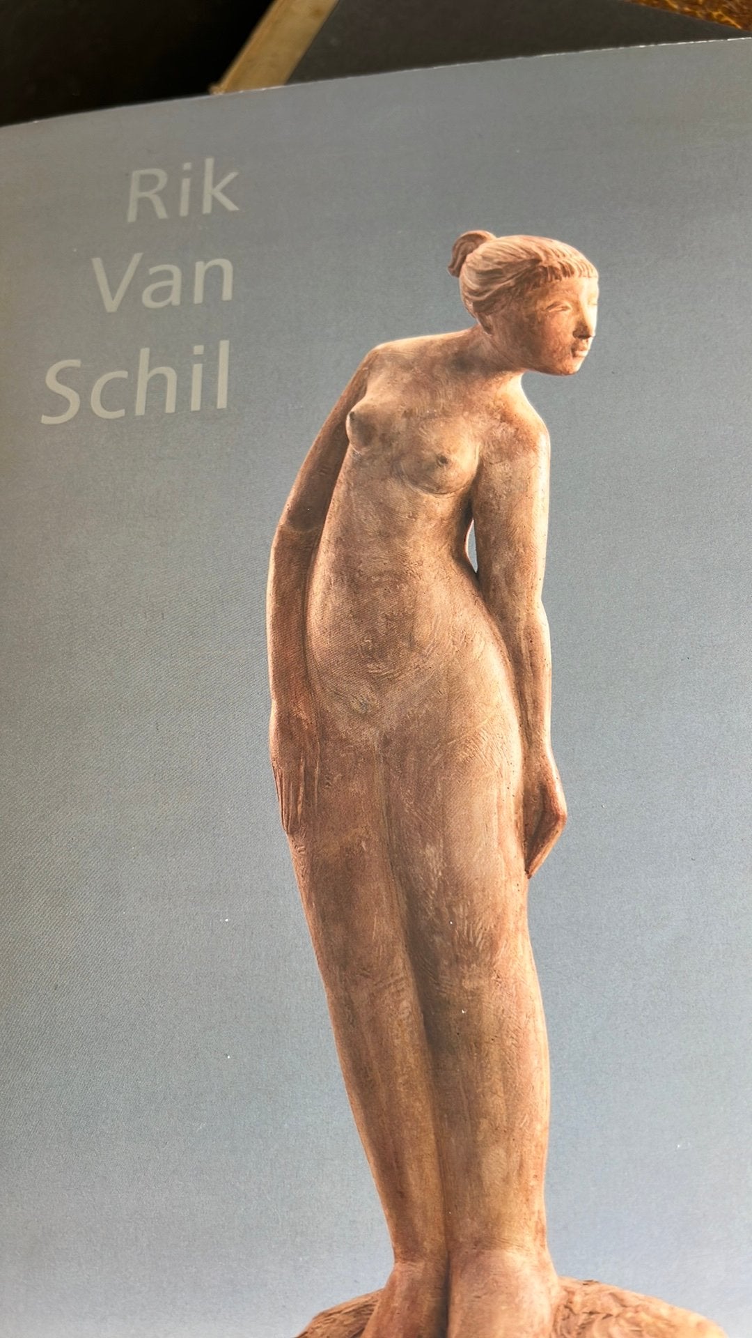Verzamelde werken van Rik Van Schil, Boeken, Ophalen, Zo goed als nieuw, Beeldhouwkunst