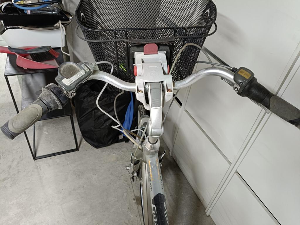 Gazelle elektrische fiets, Ophalen
