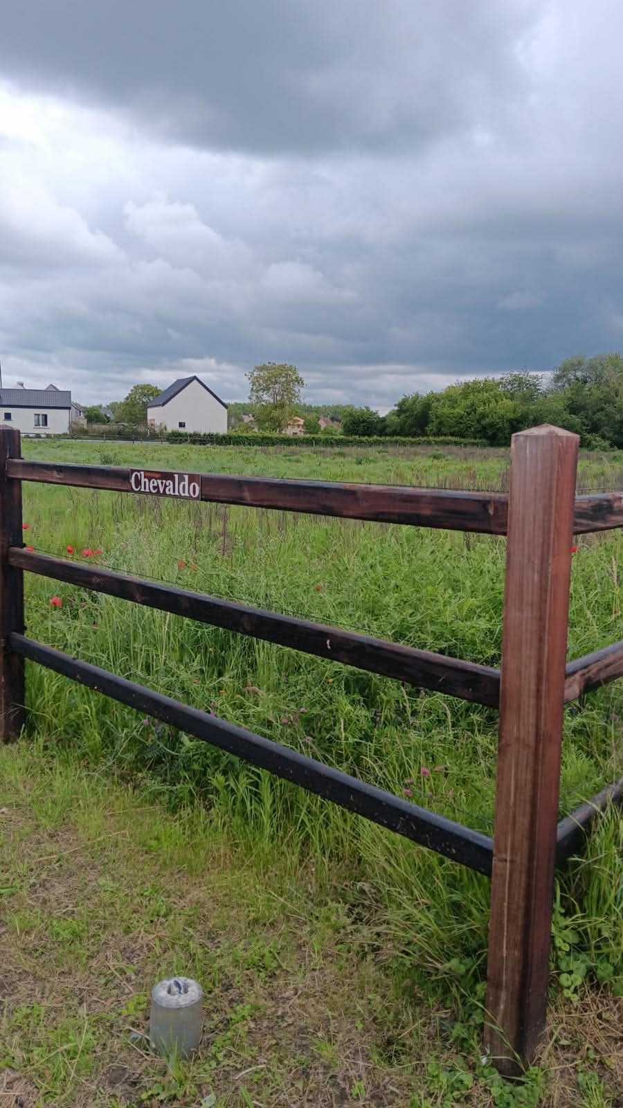 Weides te huur, Dieren en Toebehoren, Stalling en Weidegang