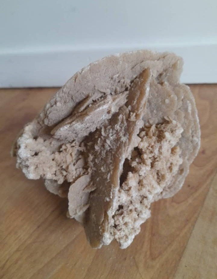 Rose des sables, Collections, Minéraux & Fossiles, Enlèvement