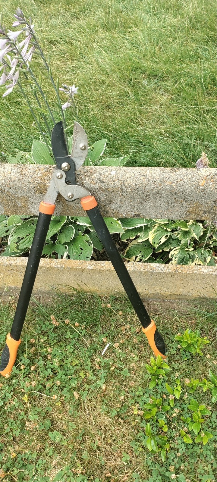 Takkenschaar 77 cm uu, Tuin en Terras, Ophalen