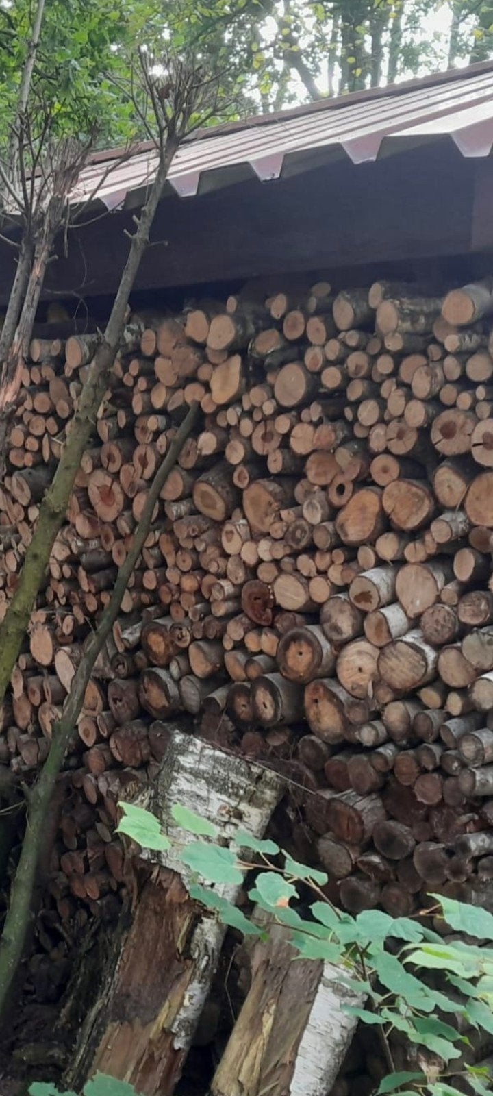 brandhout, kachelhout, loofhout mix, rondhout., Tuin en Terras, 6 m³ of meer, Ophalen, Blokken