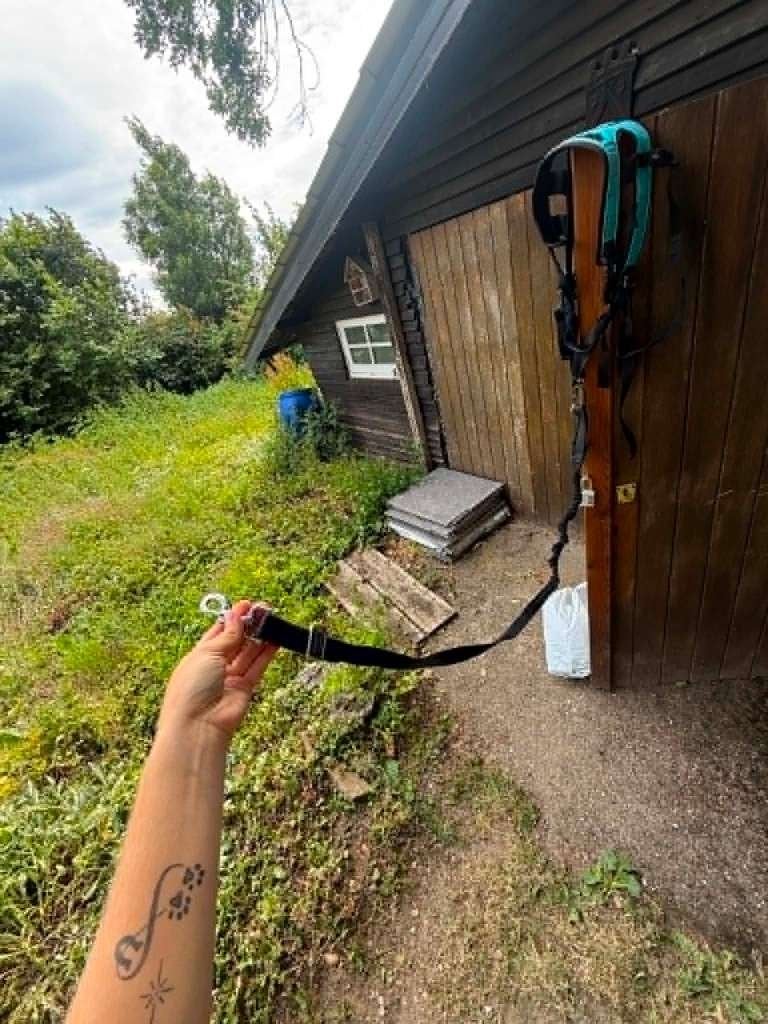 Kit de course i-dog, Autres marques, Enlèvement ou Envoi, Neuf, Harnais pour chien