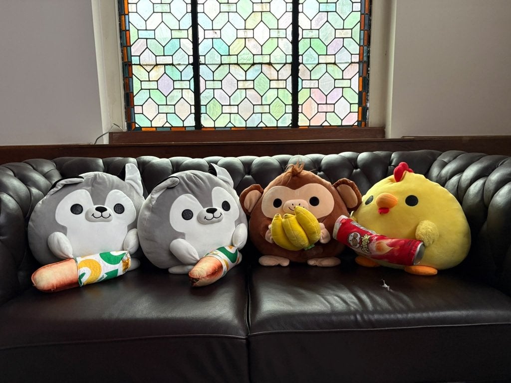 Snackles knuffels, Enfants & Bébés, Enlèvement, Comme neuf, Multicolore, Moyen (20 à 80 cm)