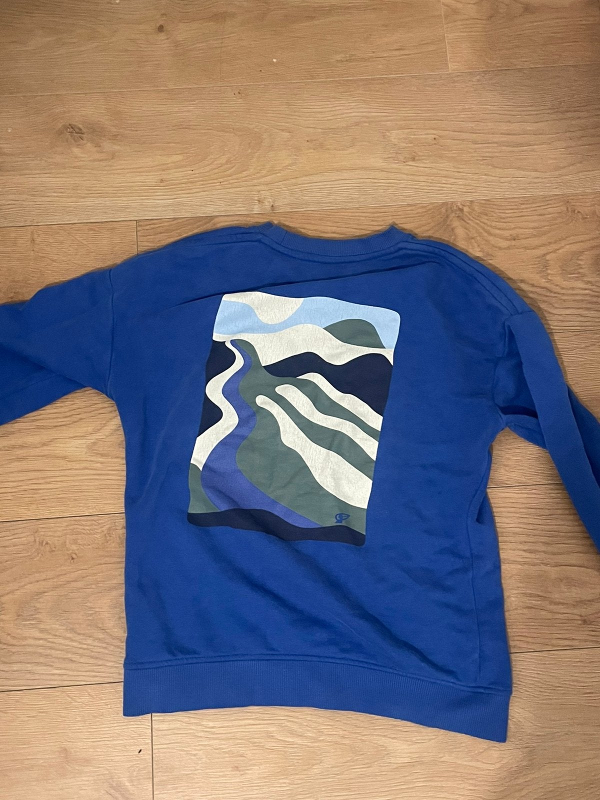 CKS Blauwe Sweater / Trui met Print, Verzenden, Gedragen, Overige maten, Blauw