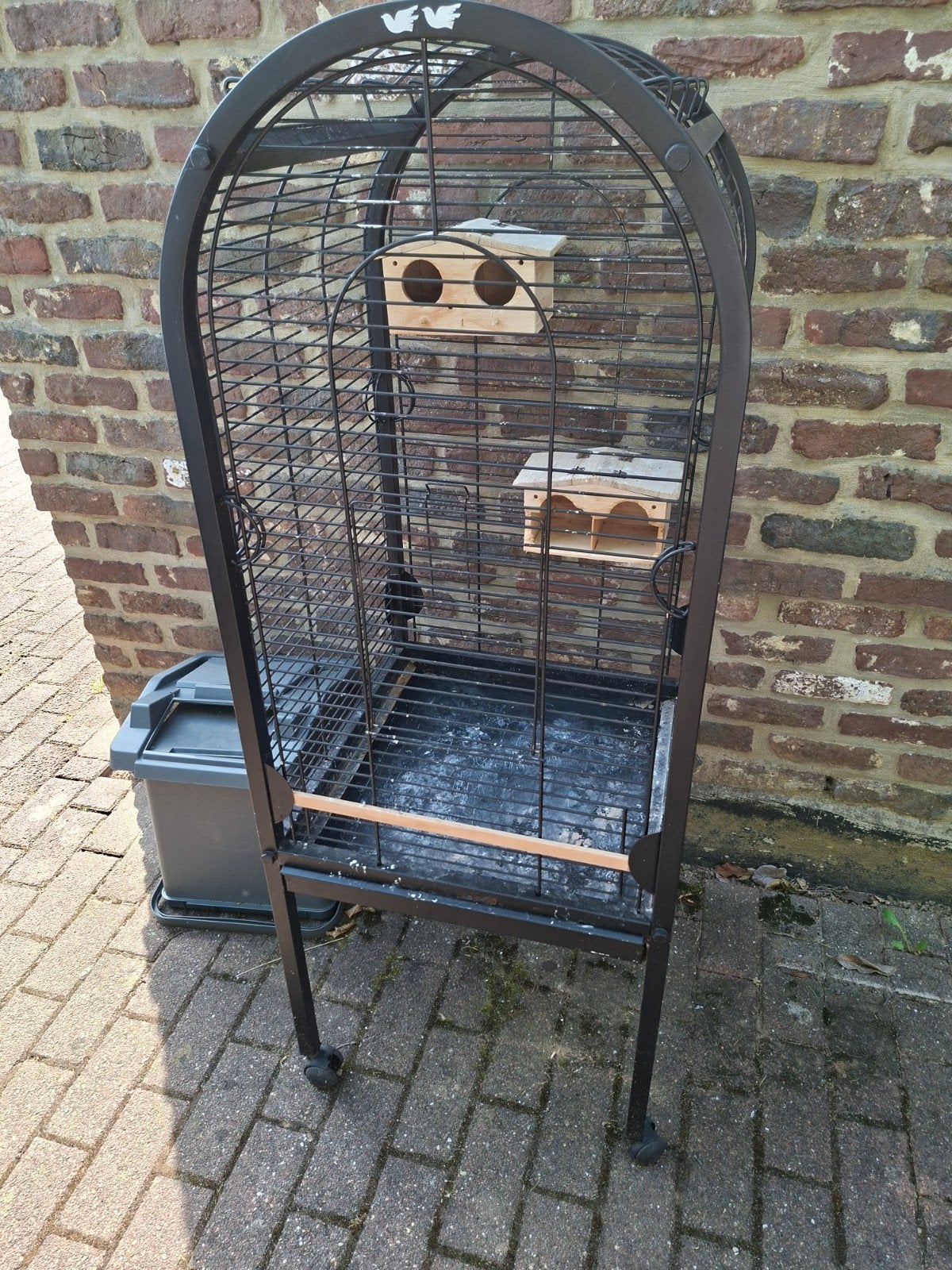 Cage perroquet/ perruches, Enlèvement