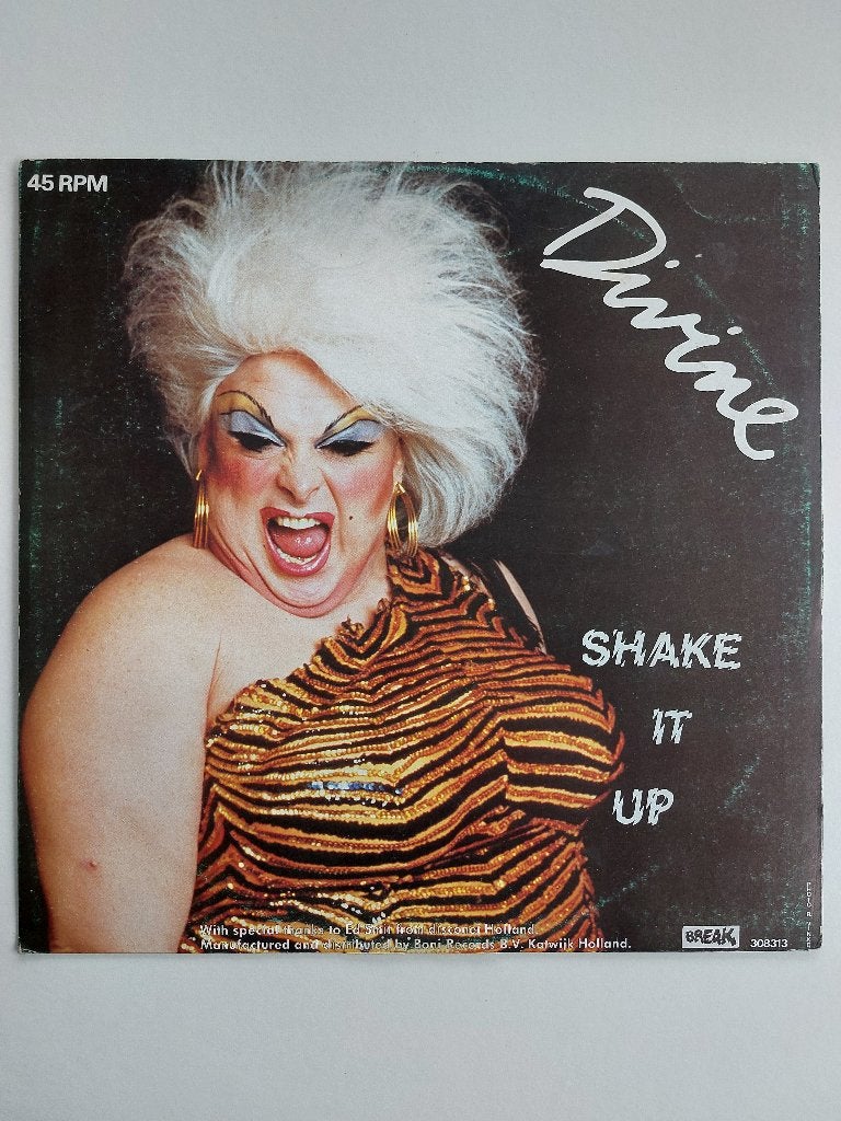 Divine - Shake It Up (1983 - Maxi Single), LP, Gebruikt, Electronic Rock, Ophalen of Verzenden