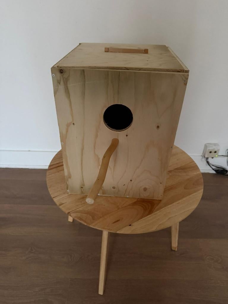 Grand nichoir conure, Enlèvement
