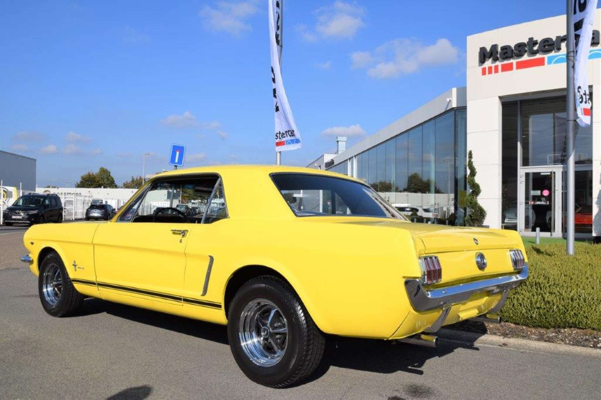 Ford Mustang MUSTANG COUPE V8 Manueel, foto 3