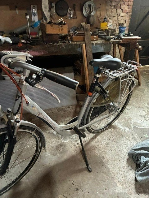 Fiets, Fietsen en Brommers, Ophalen, Batavus