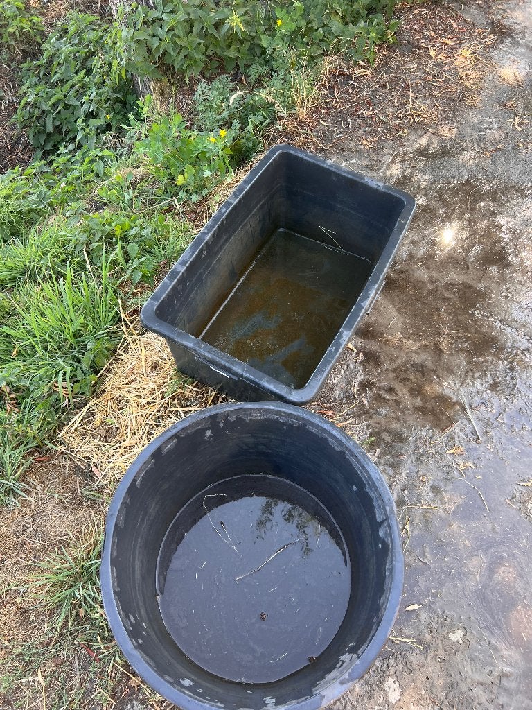 Drinkbak, Pâturage, 2 ou 3 chevaux ou poneys