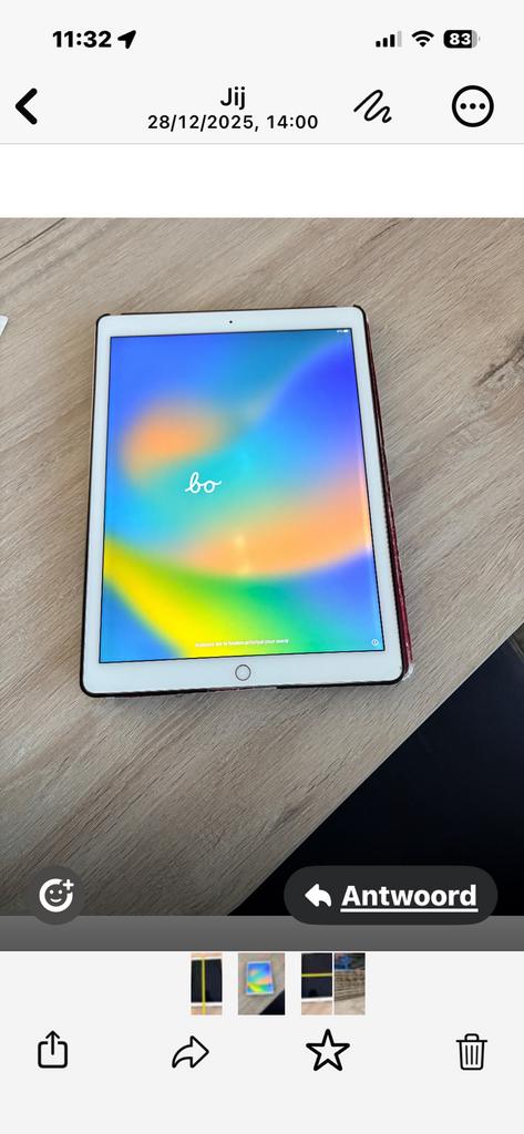 Ioad 13 inch, Informatique & Logiciels, Apple iPad Tablettes, Apple iPad, 13 pouces ou plus, Enlèvement, Utilisé