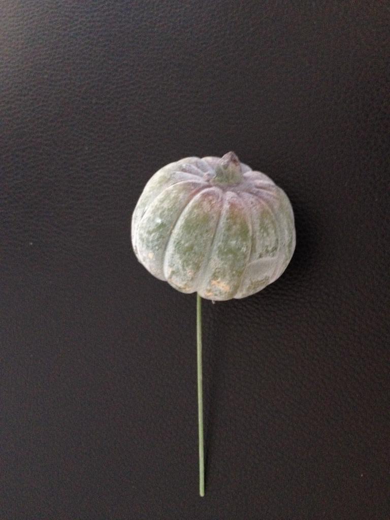 bloemschikmateriaal herfst : 5 groene pompoenen op steekpin, Ophalen of Verzenden, Nieuw