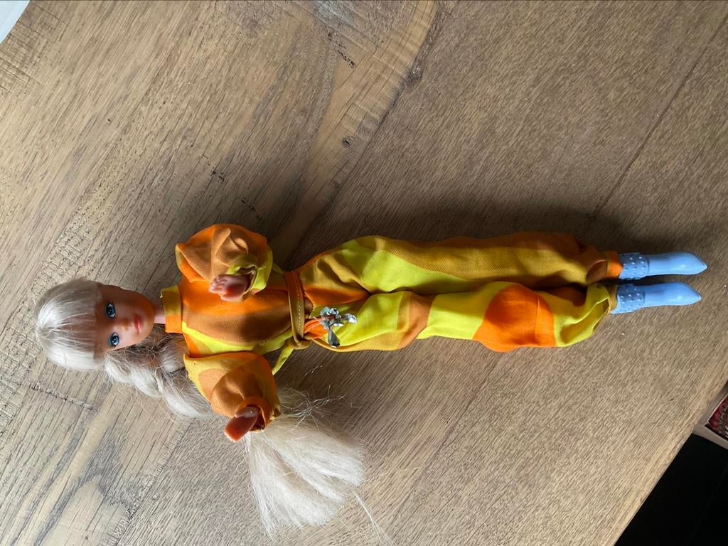 Barbie Simba toys, Enlèvement ou Envoi, Comme neuf, Barbie