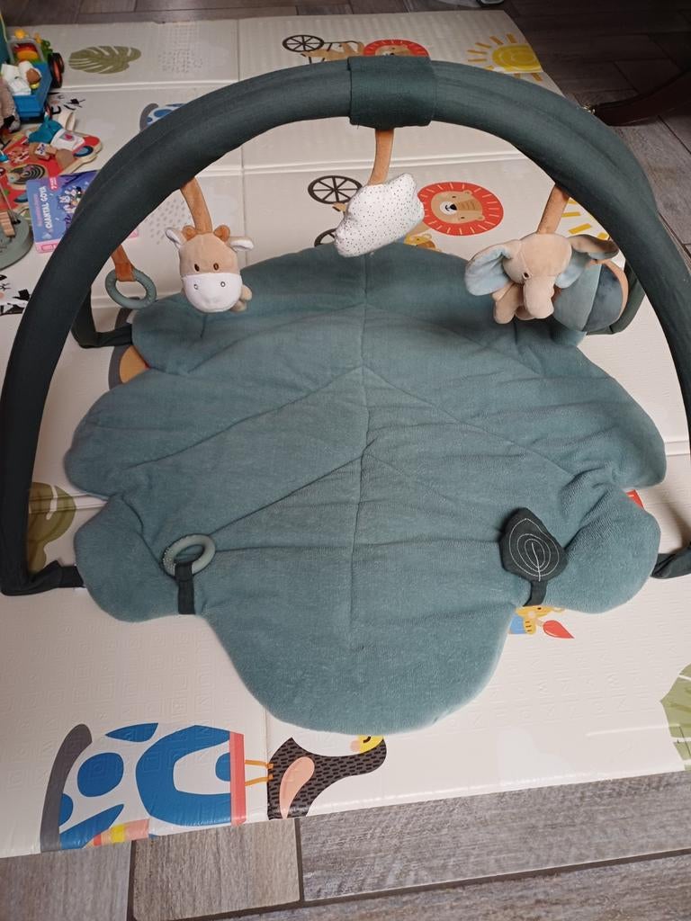 Tapis d'éveil NATTOU, Enlèvement