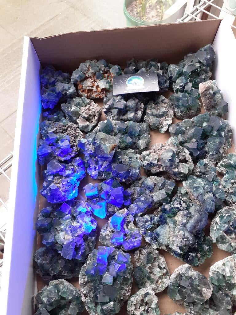 fluorite weardale, Collections, Minéraux & Fossiles, Enlèvement, Minéral