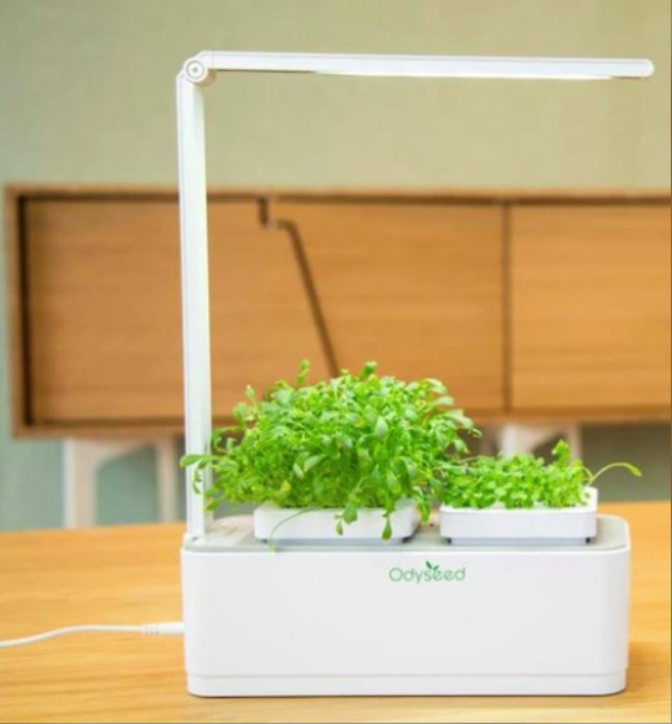 Potager d'intérieur, Enlèvement, Neuf, Potager