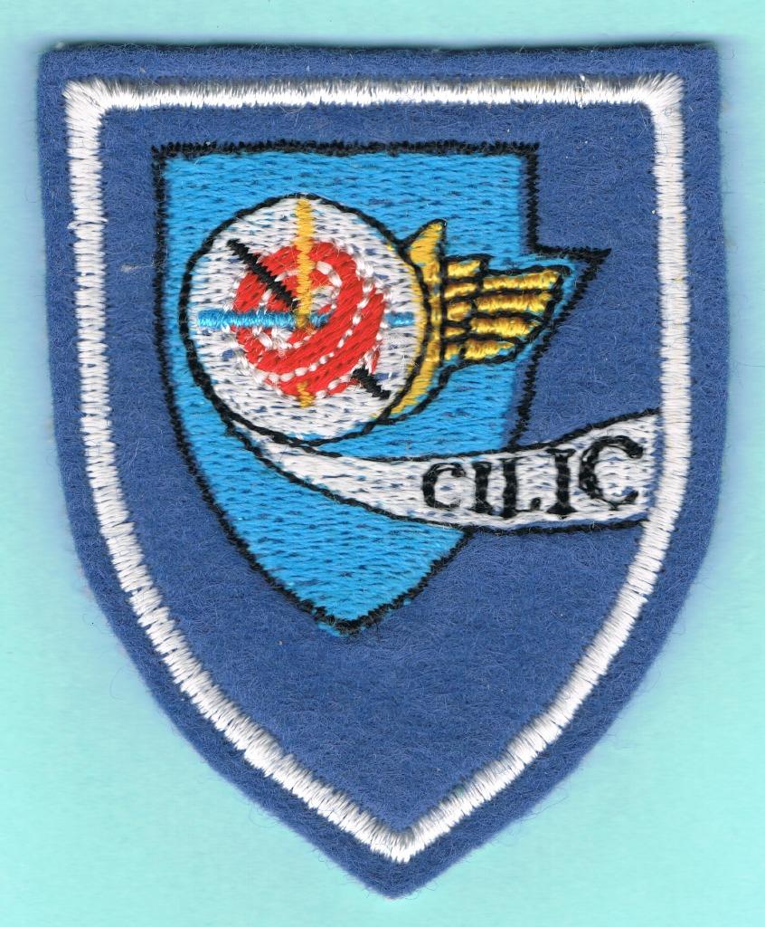 Belgian Air Force Sleeve Insignia ( MS88 ), Enlèvement ou Envoi, Armée de l'air, Emblème ou Badge