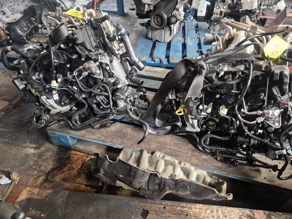 ECOBOOST-MOTOR VAN 2019 TOT 2025