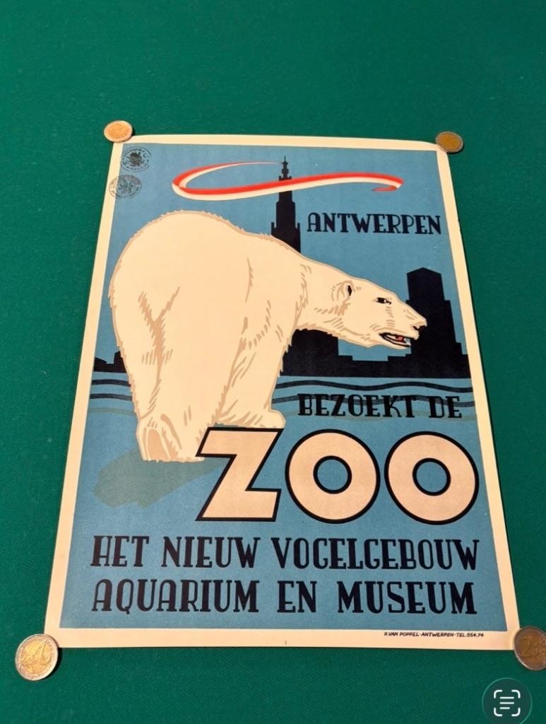 Poster zoo antwerpen, Enlèvement, Comme neuf