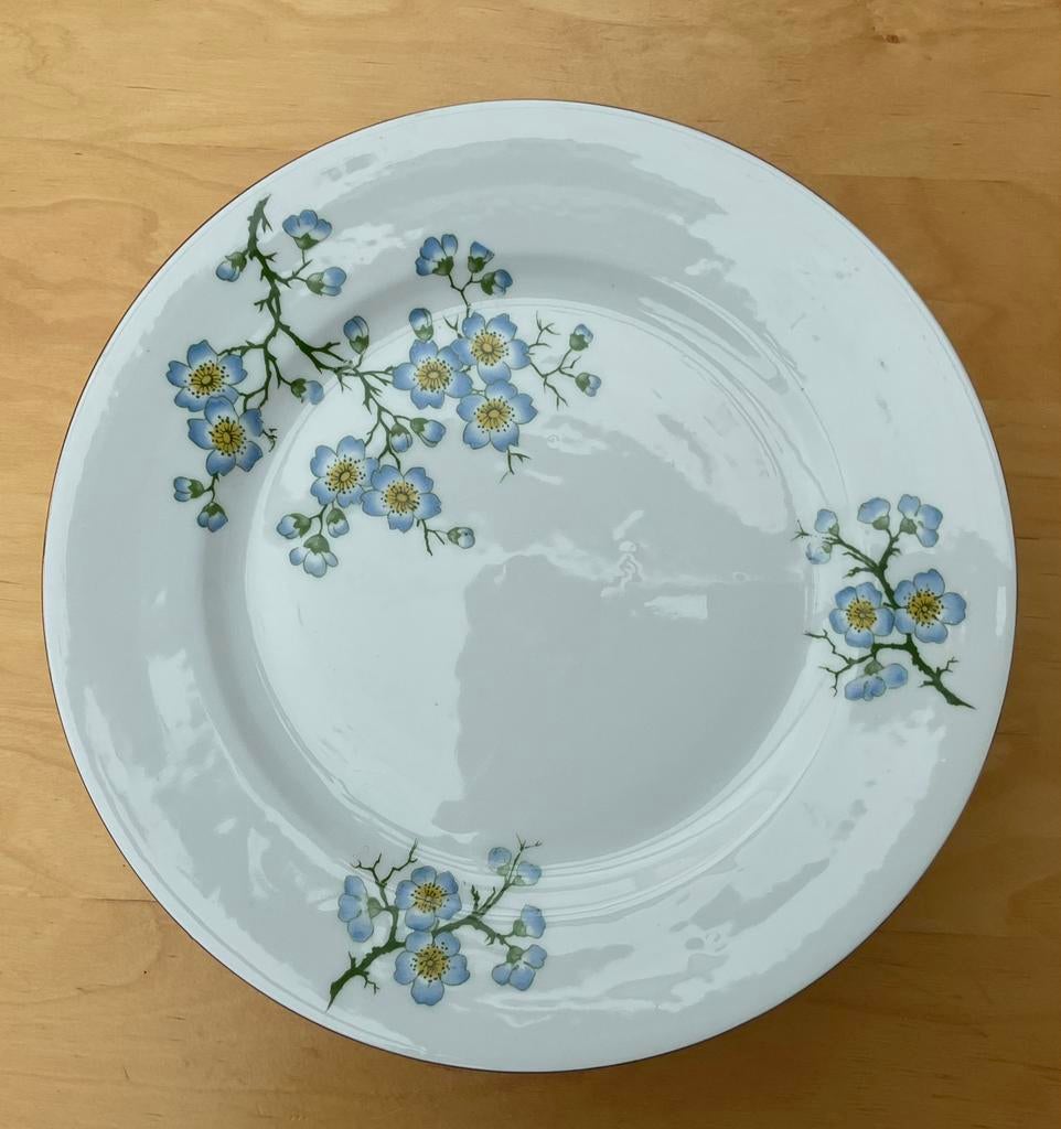 12 Assiettes plates Victoria China Czecoslovakia, Enlèvement, Comme neuf, Porcelaine