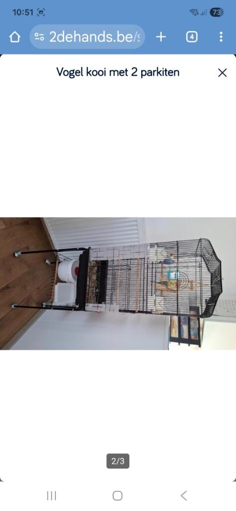 2 parkieten met groote kooi, Dieren en Toebehoren, Mannelijk, Parkiet